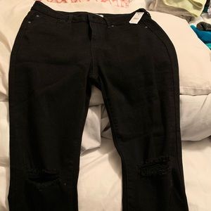 Ivy and Main pants size 11